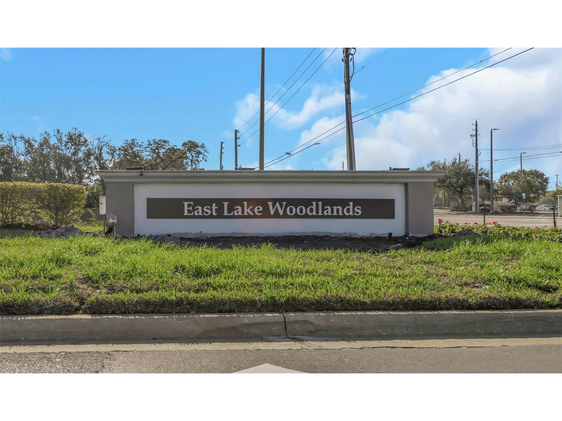 122 Caryl Way #122 Oldsmar FL 34677 TB8481510 image32
