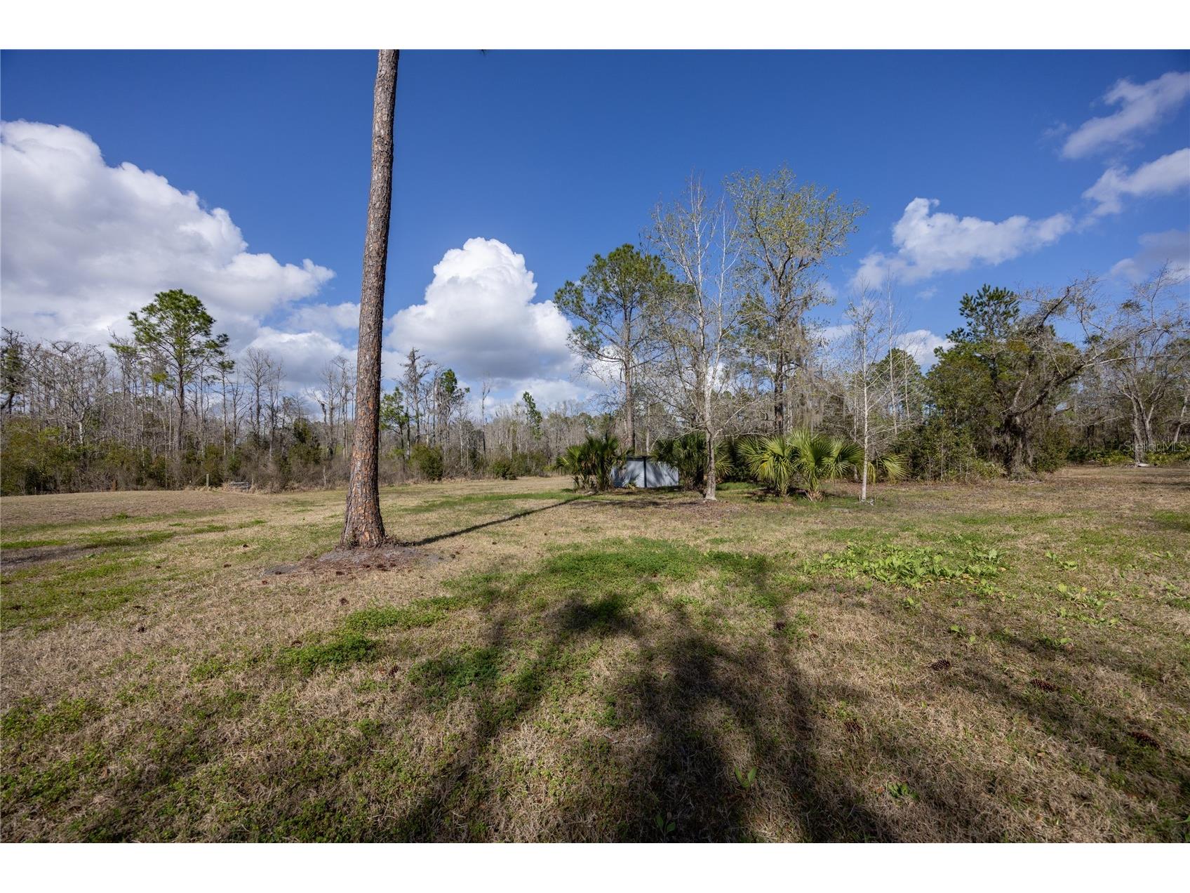 122 Cypress Drive Palatka FL 32177 GC538059 image41