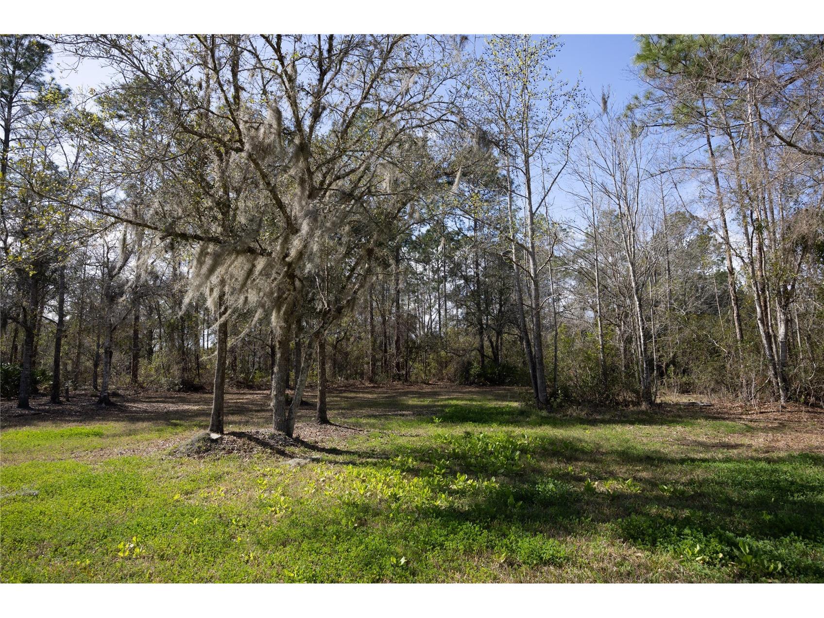 122 Cypress Drive Palatka FL 32177 GC538059 image43