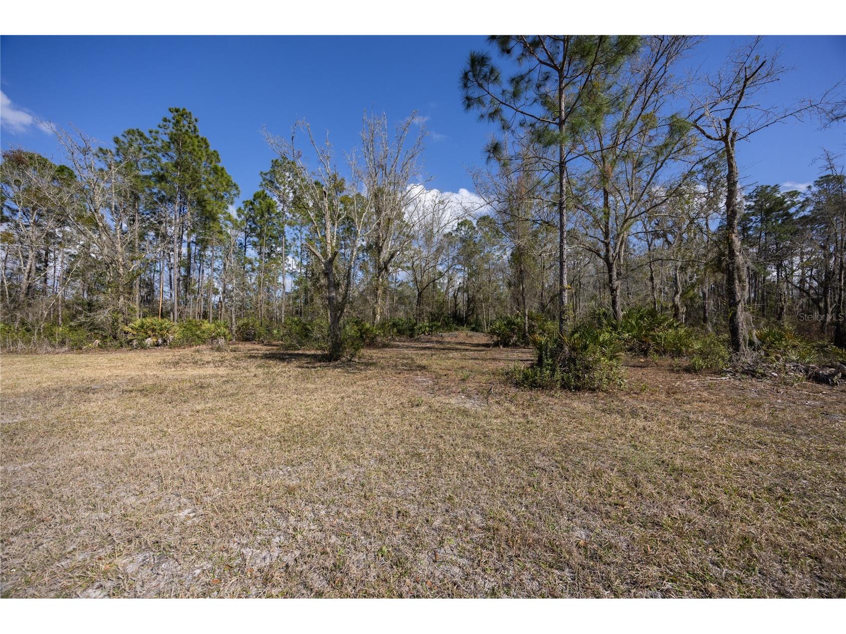 122 Cypress Drive Palatka FL 32177 GC538059 image44