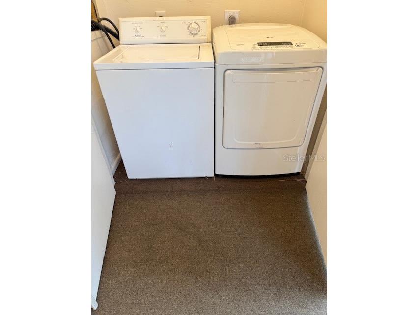 122 Cypress Lane #122 Oldsmar FL 34677 W7881559 image29