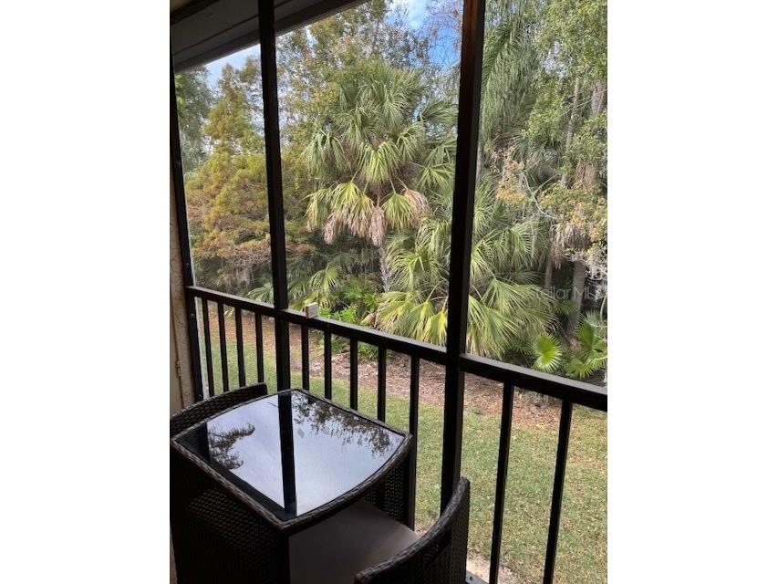 122 Cypress Lane #122 Oldsmar FL 34677 W7881559 image32