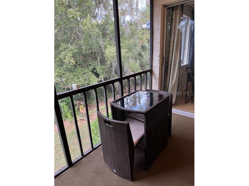 122 Cypress Lane #122 Oldsmar FL 34677 W7881559 image34