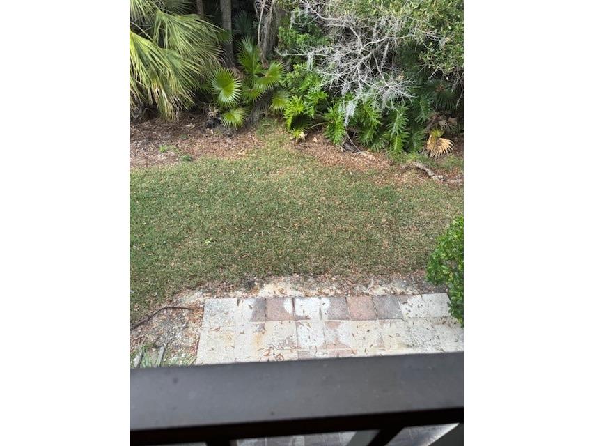 122 Cypress Lane #122 Oldsmar FL 34677 W7881559 image36