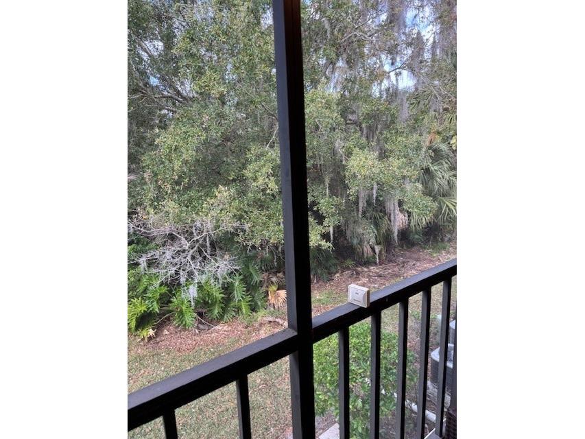 122 Cypress Lane #122 Oldsmar FL 34677 W7881559 image37