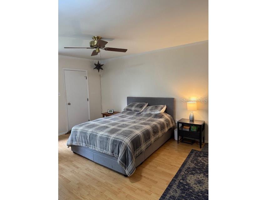 122 Cypress Lane #122 Oldsmar FL 34677 W7881559 image6