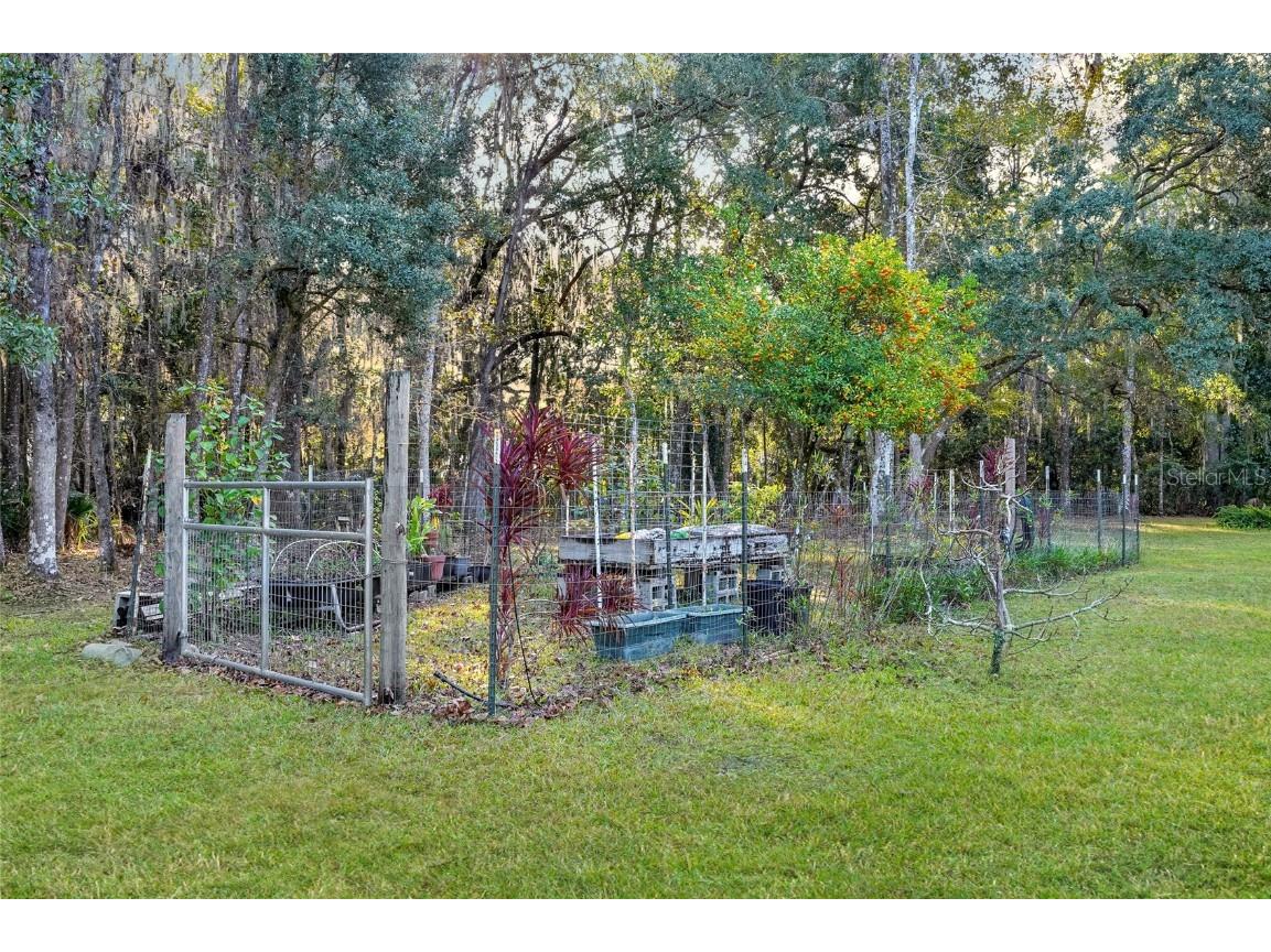 122 Drayton Island Road Georgetown FL 32139 - ST. JOHNS RIVER / LAKE GEORGE FC314532 image46