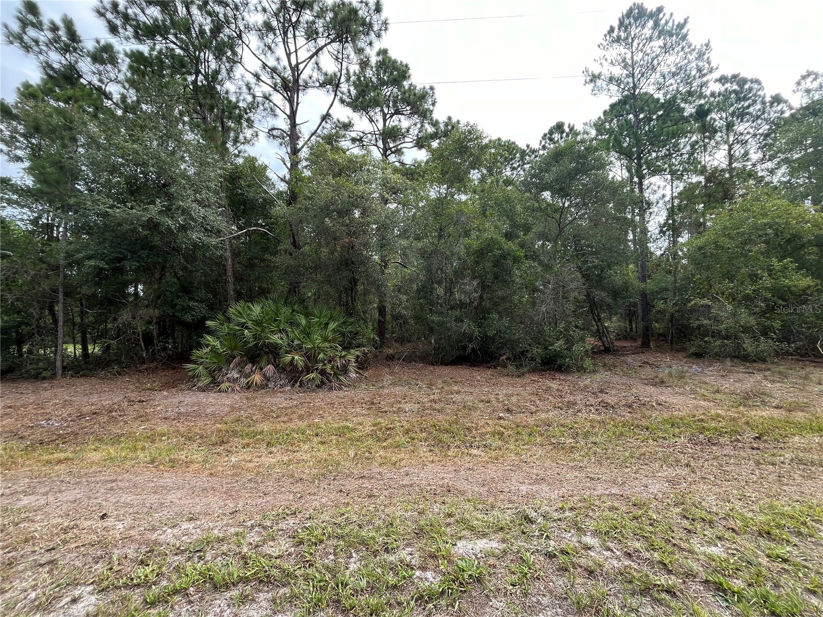 122 Glenside Street Georgetown FL 32139 K4903414 image5