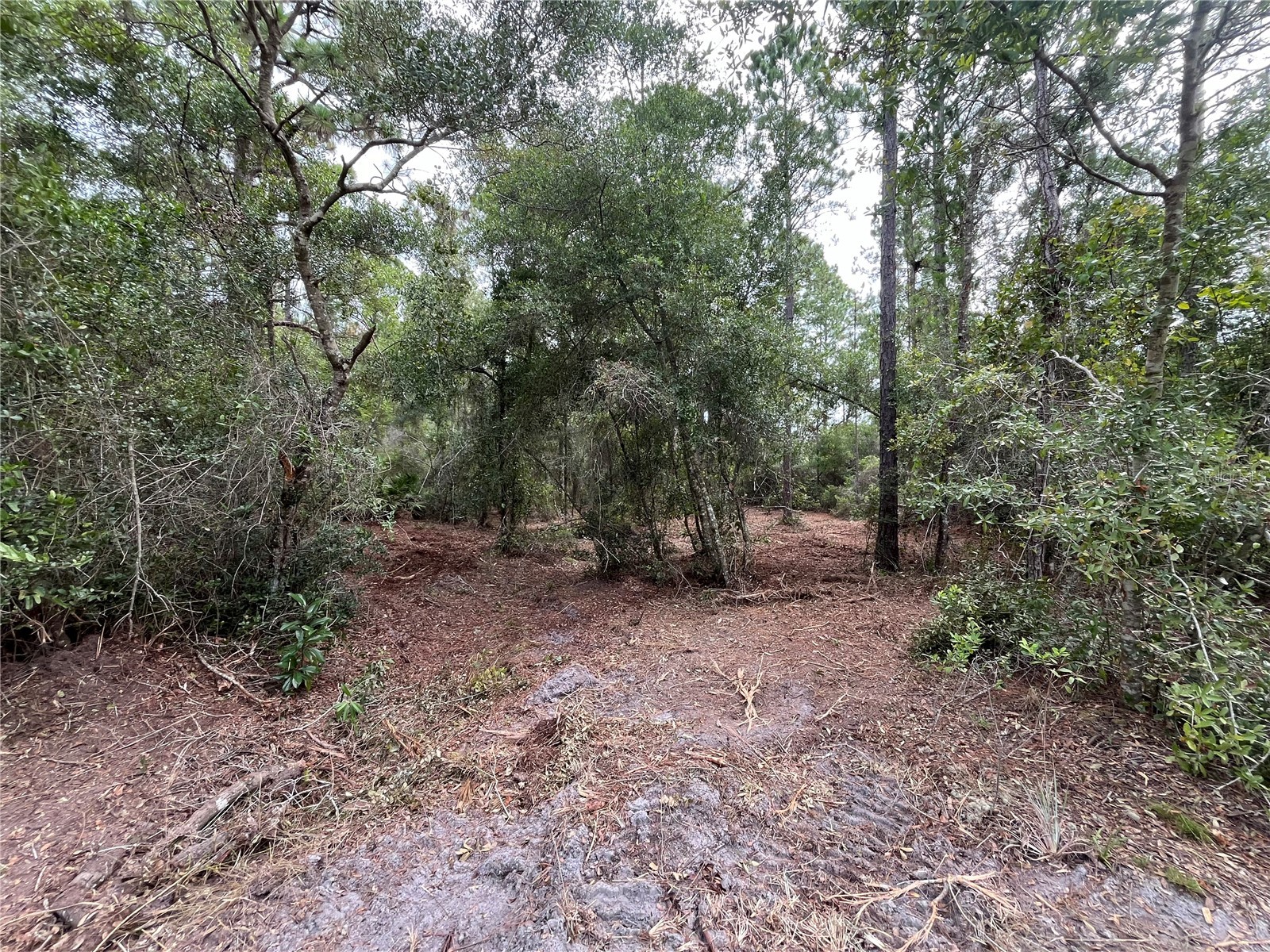 122 Glenside Street Georgetown FL 32139 K4903414 image6