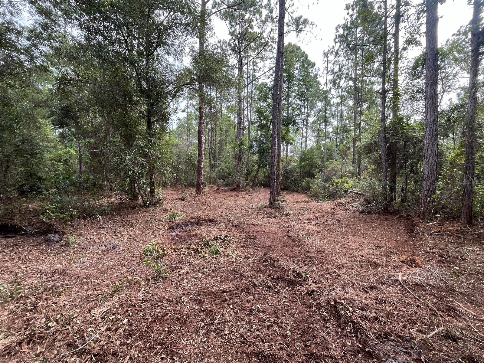 122 Glenside Street Georgetown FL 32139 K4903414 image7