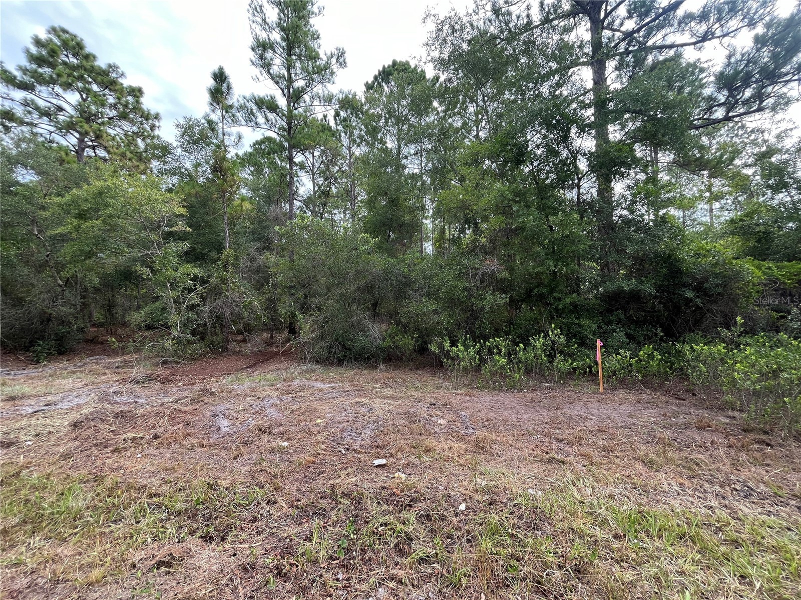 122 Glenside Street Georgetown FL 32139 K4903414 image8