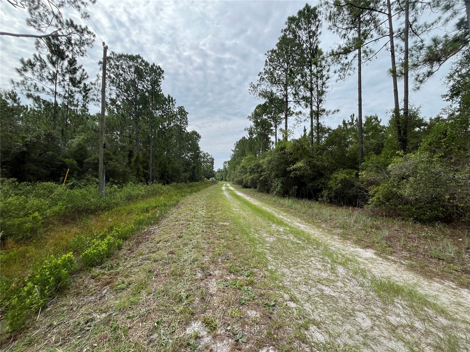 122 Glenside Street Georgetown FL 32139 K4903414 image9