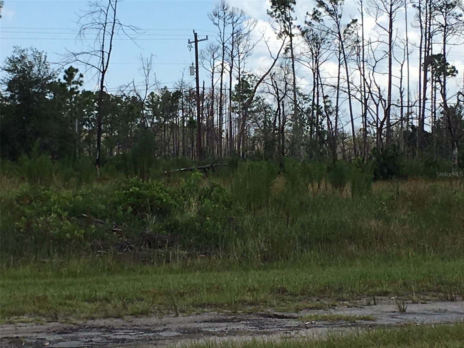 122 Japonica Drive Indian Lake Estates FL 33855 O6396337 image1