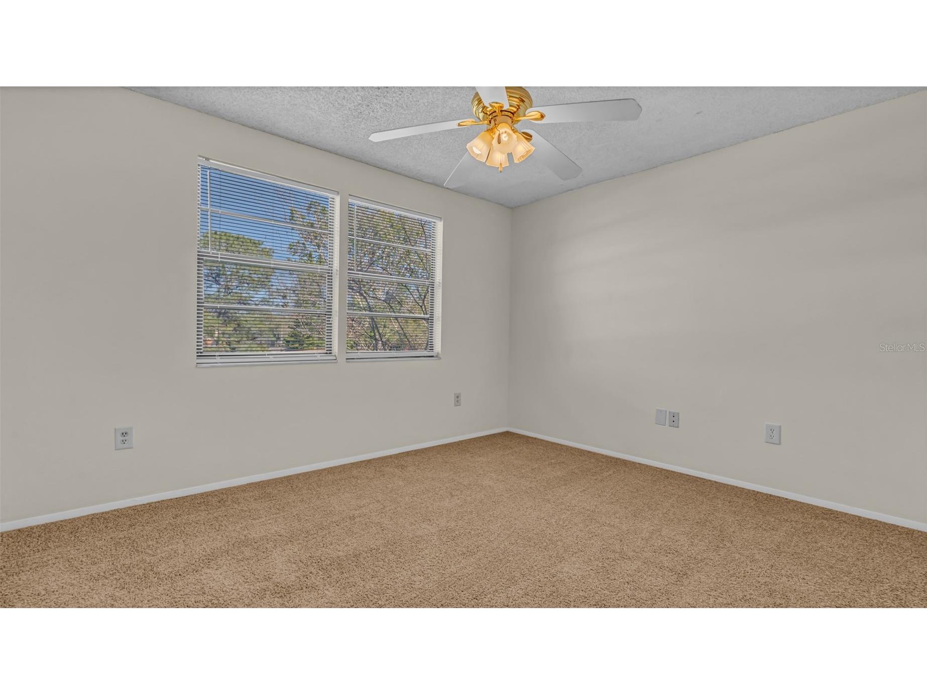 122 Loblolly Court #C Oldsmar FL 34677 TB8508037 image12