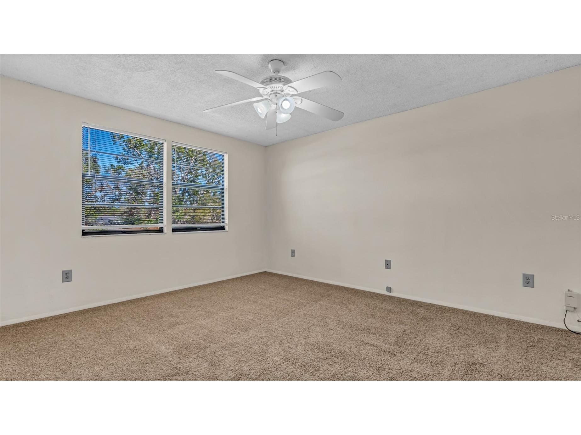 122 Loblolly Court #C Oldsmar FL 34677 TB8508037 image15