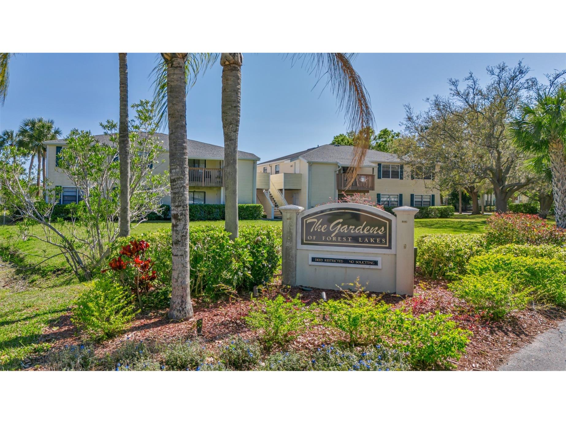 122 Loblolly Court #C Oldsmar FL 34677 TB8508037 image24