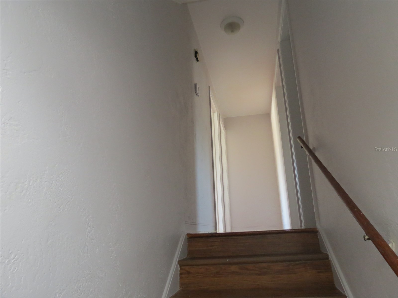 122 Magnolia Drive Ormond Beach FL 32176 FC316798 image12