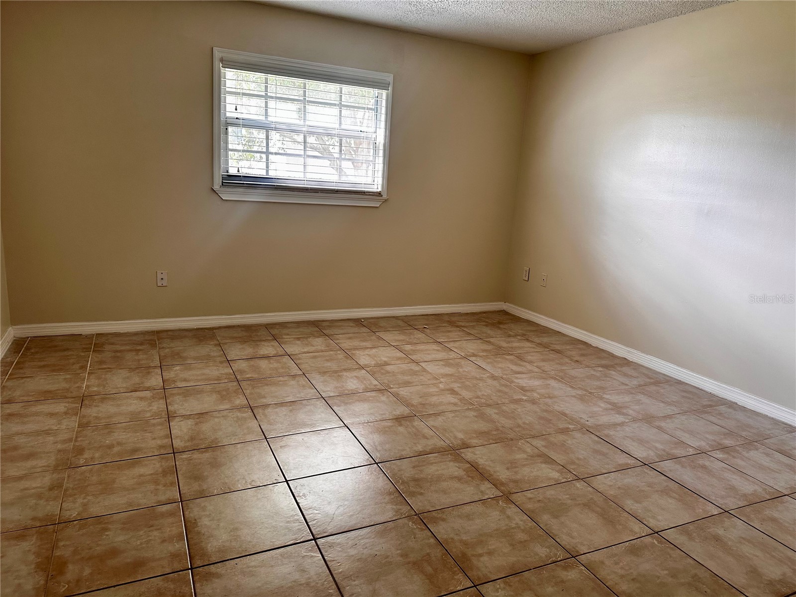 122 N Kings Avenue #101 Brandon FL 33510 TB8448798 image20
