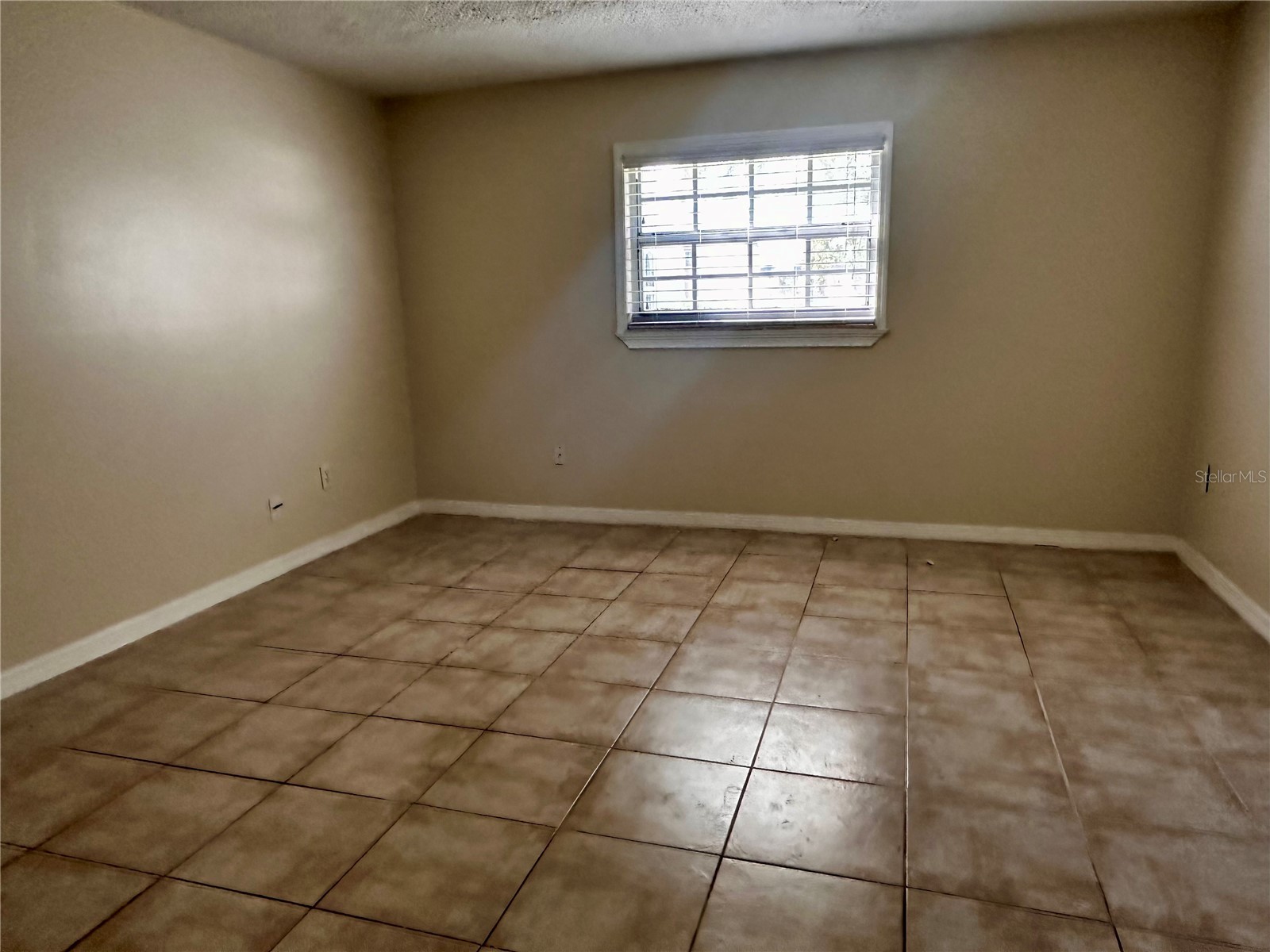 122 N Kings Avenue #101 Brandon FL 33510 TB8448798 image21