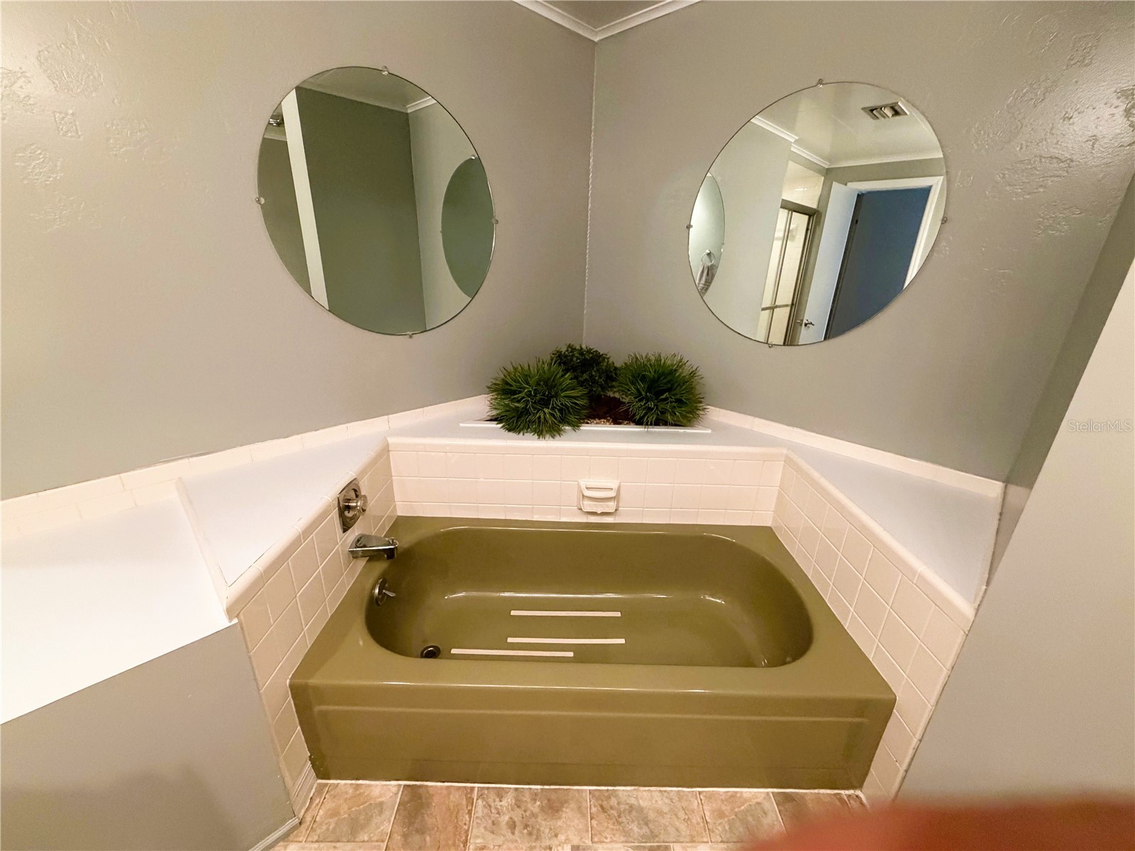 122 Palo Verde Drive Leesburg FL 34748 R4911337 image69