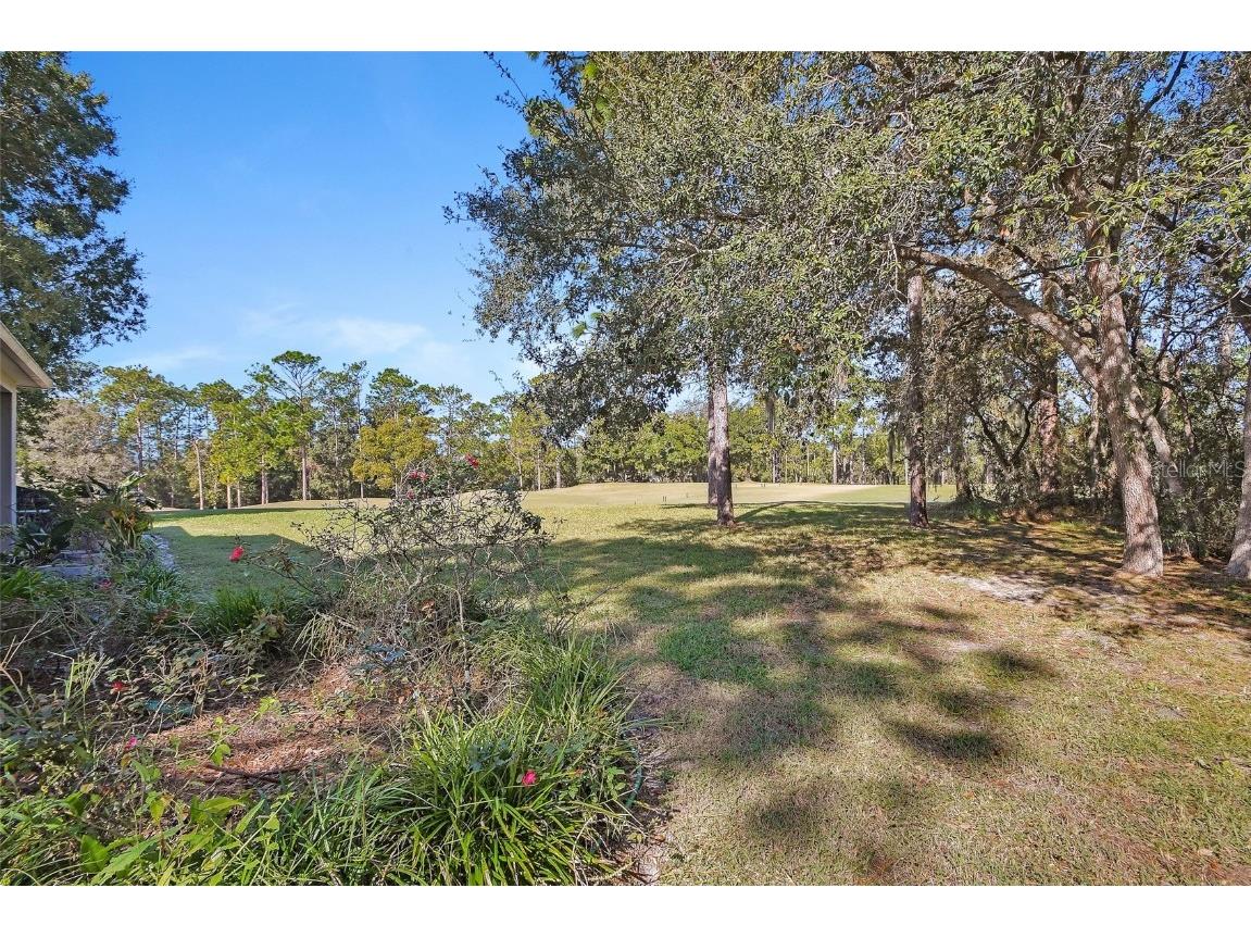 122 Pennyroyal Lane Deland FL 32724 V4945673 image36