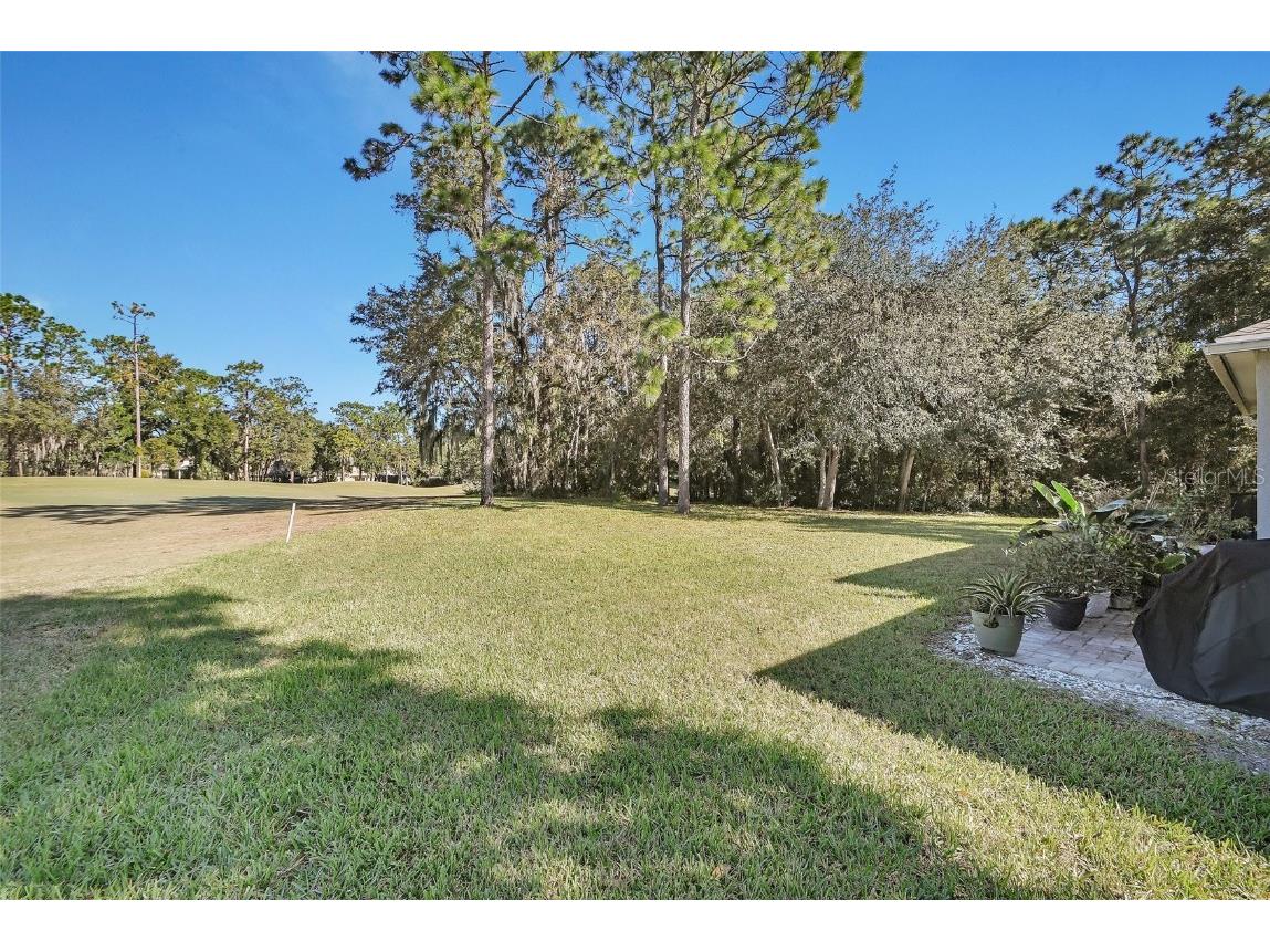 122 Pennyroyal Lane Deland FL 32724 V4945673 image38