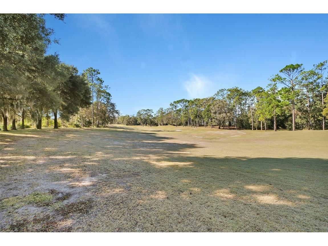 122 Pennyroyal Lane Deland FL 32724 V4945673 image39