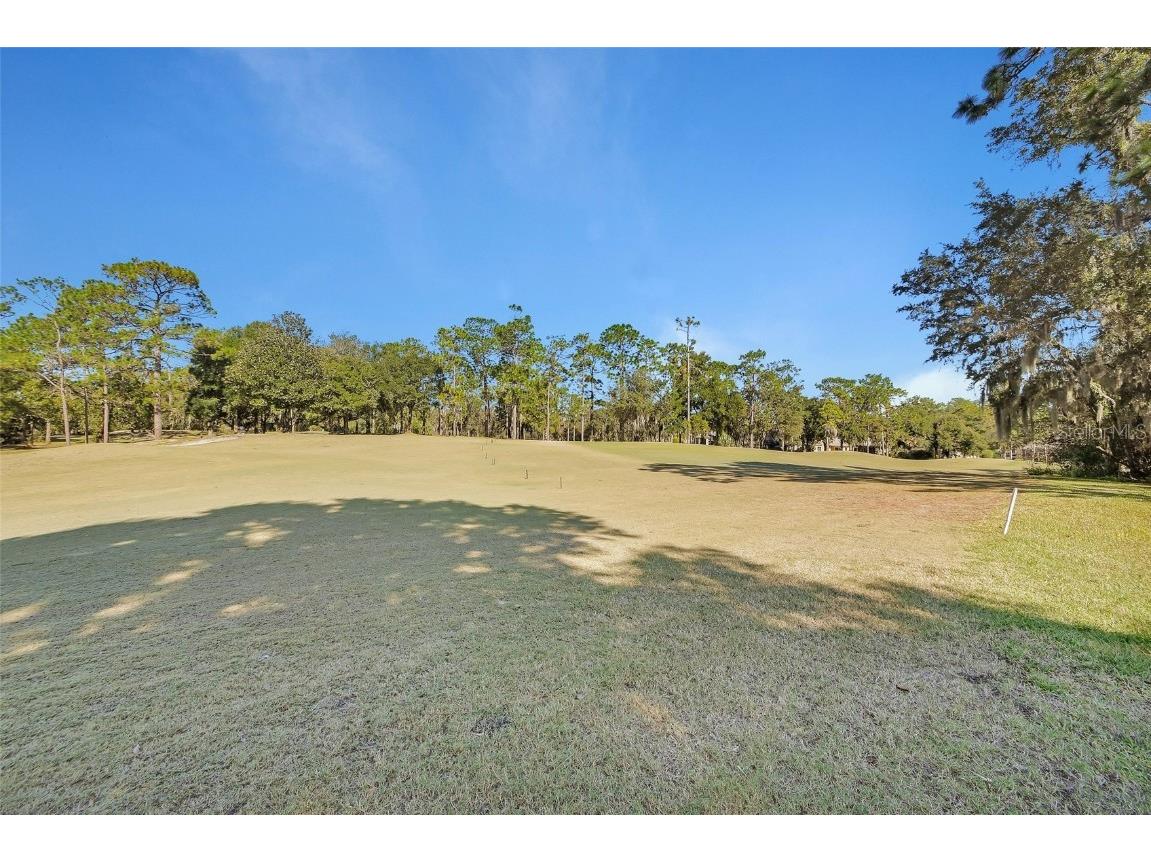 122 Pennyroyal Lane Deland FL 32724 V4945673 image40