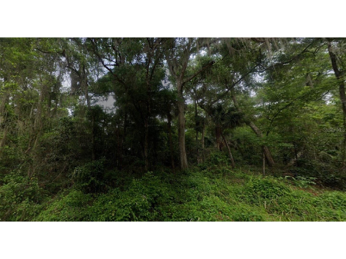 122 River Trail Satsuma FL 32189 O6129996 image1