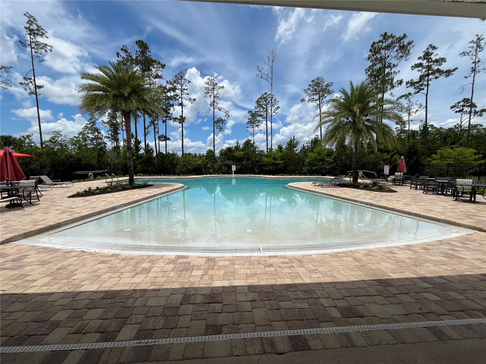 122 S Hummingbird Place Palm Coast FL 32164 FC318665 image45
