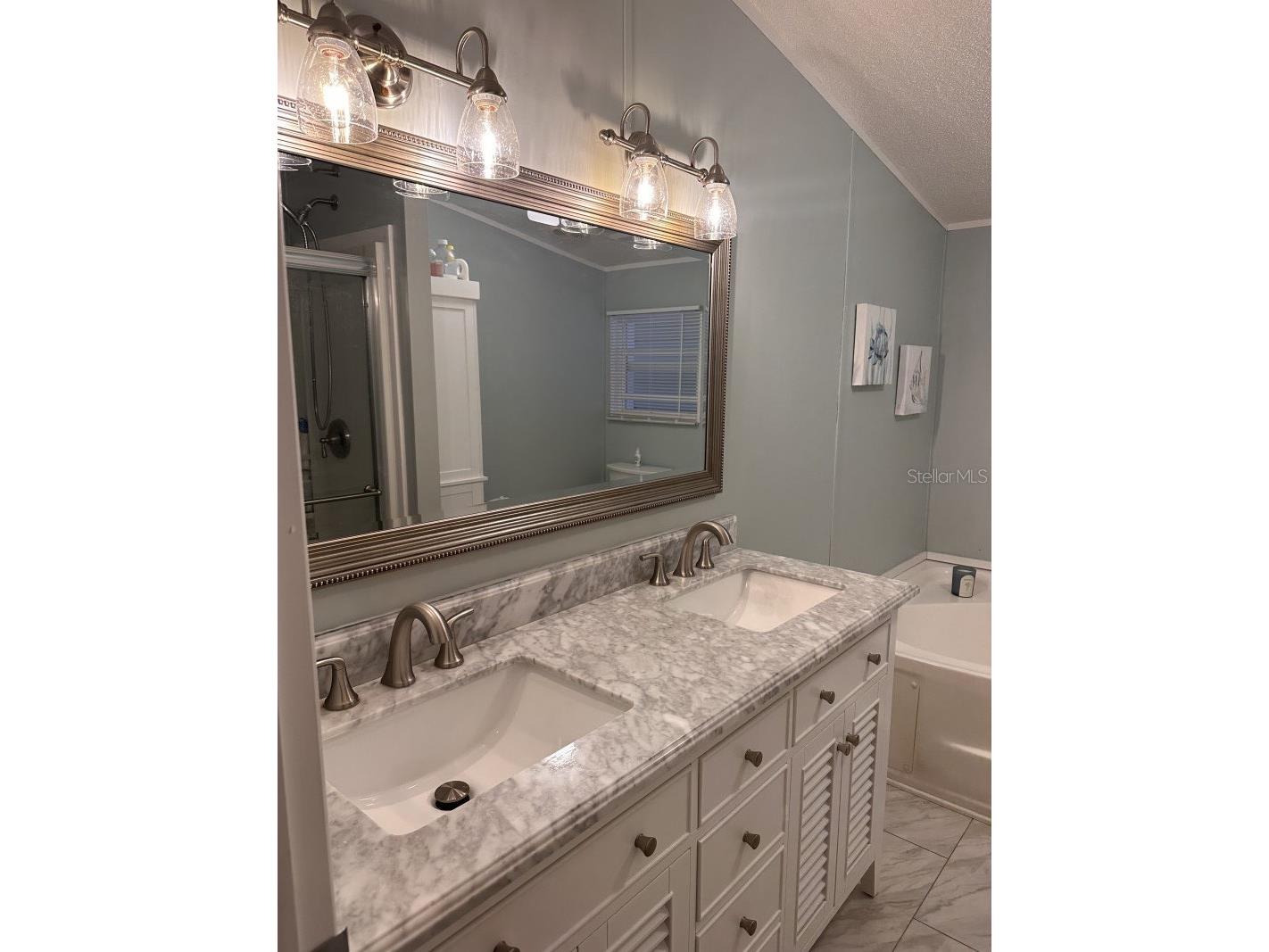 122 W Saint Annes Circle Apollo Beach FL 33572 A4694289 image8