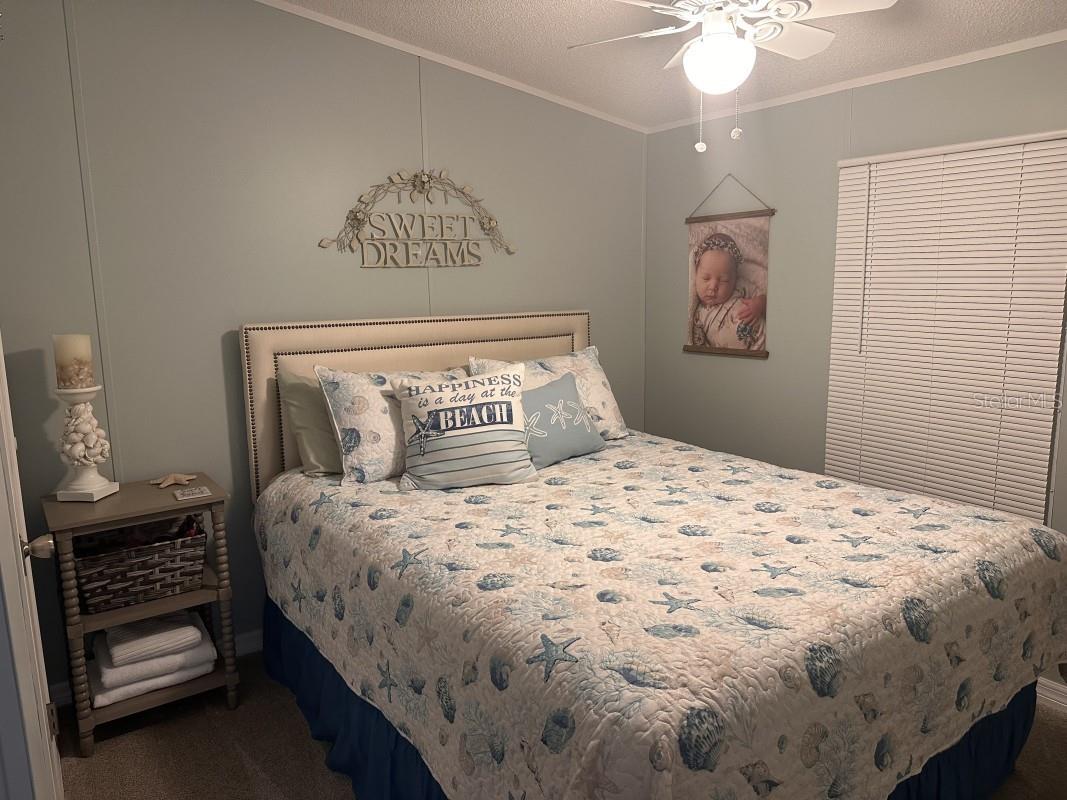 122 W Saint Annes Circle Apollo Beach FL 33572 A4694289 image9