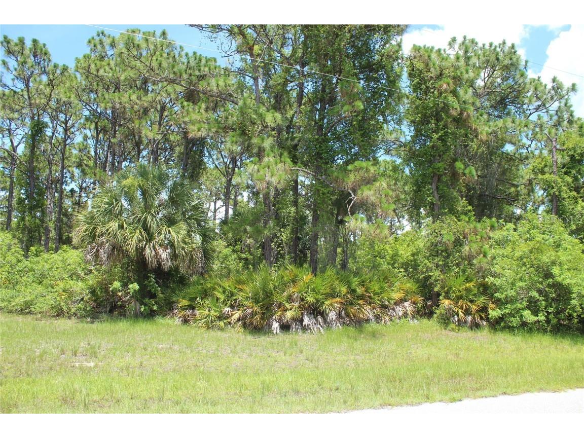 122 Wahoo Drive Rotonda West FL 33947 D6126469 image1