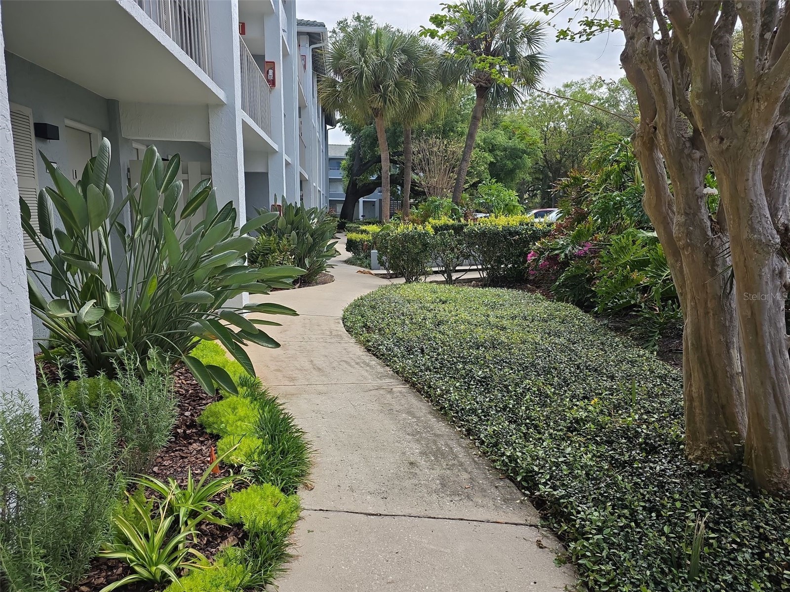 122 Water Front Way #260 Altamonte Springs FL 32701 O6408372 image15