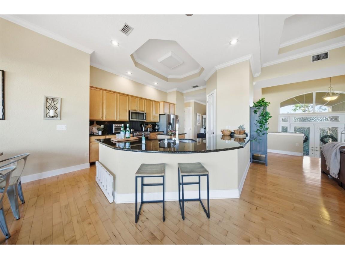 122 Waterberry Drive Tarpon Springs FL 34688 - LAKE TARPON TB8439934 image25