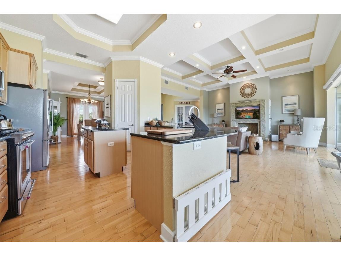 122 Waterberry Drive Tarpon Springs FL 34688 - LAKE TARPON TB8439934 image26