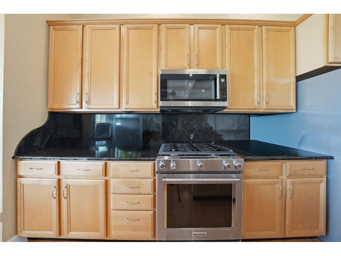 122 Waterberry Drive Tarpon Springs FL 34688 - LAKE TARPON TB8439934 image27