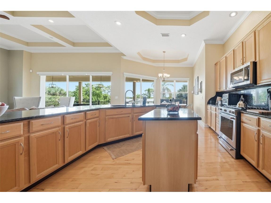 122 Waterberry Drive Tarpon Springs FL 34688 - LAKE TARPON TB8439934 image28