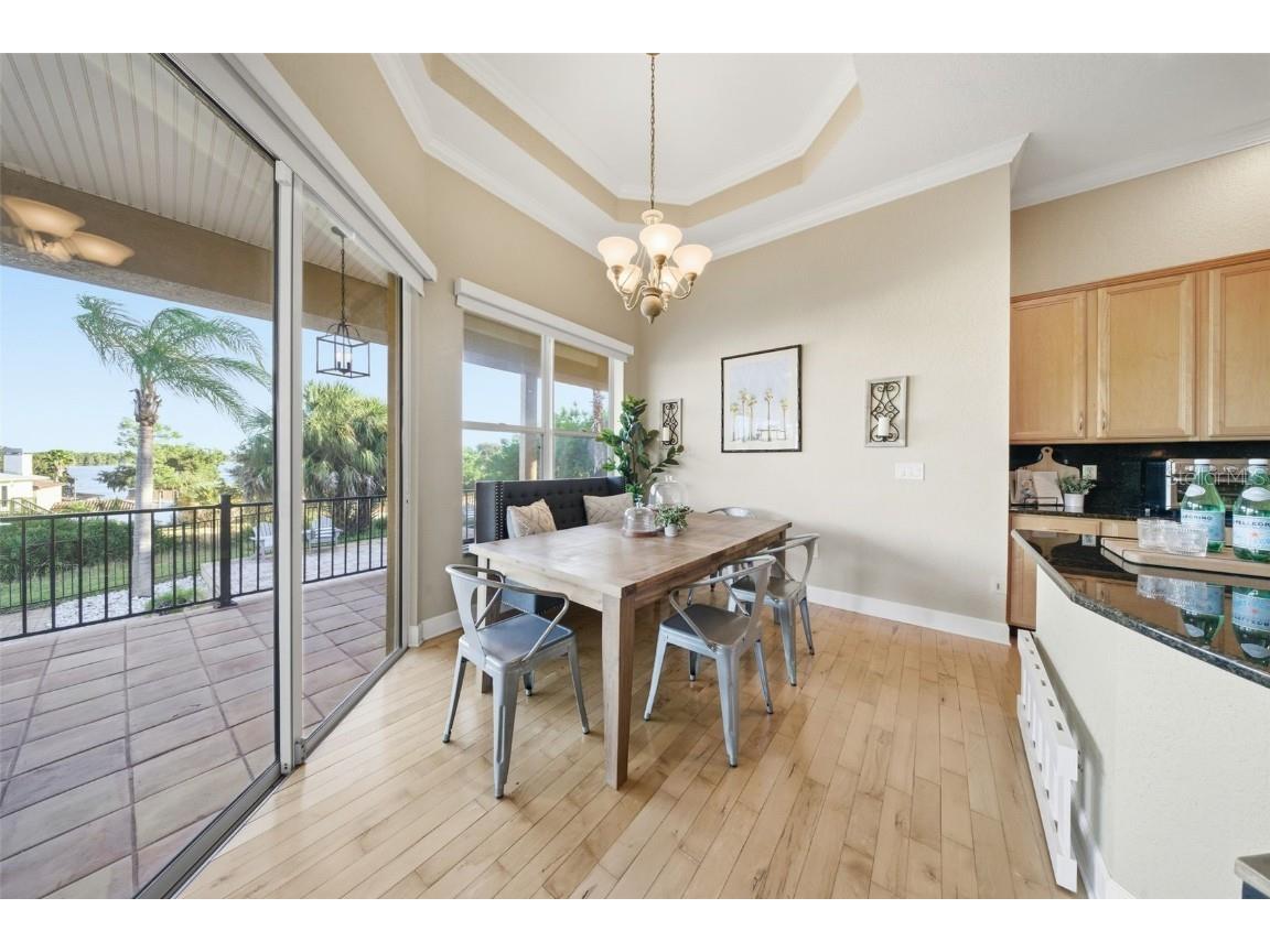 122 Waterberry Drive Tarpon Springs FL 34688 - LAKE TARPON TB8439934 image32