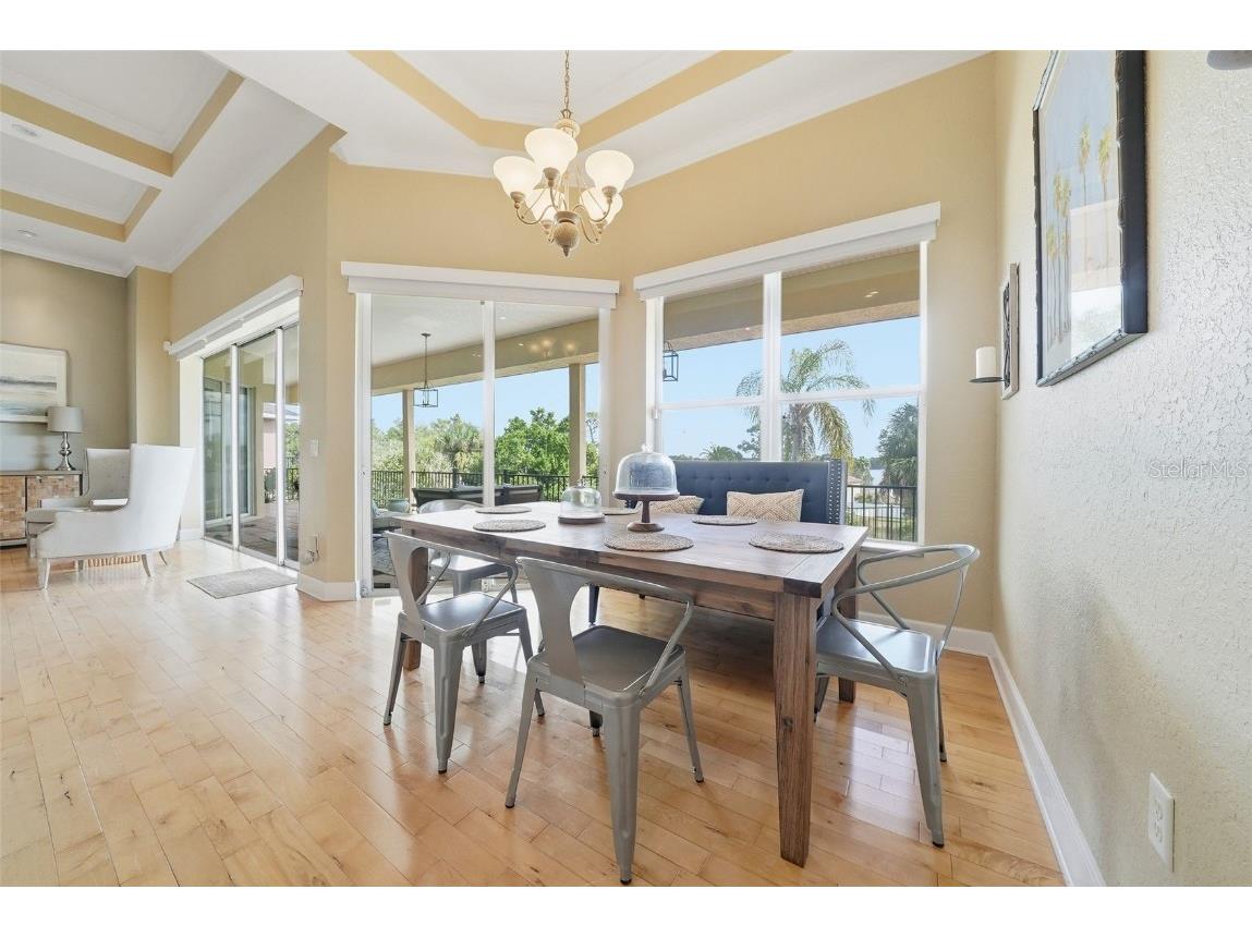 122 Waterberry Drive Tarpon Springs FL 34688 - LAKE TARPON TB8439934 image33