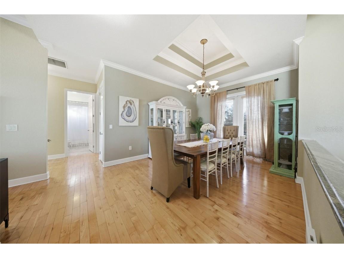 122 Waterberry Drive Tarpon Springs FL 34688 - LAKE TARPON TB8439934 image34