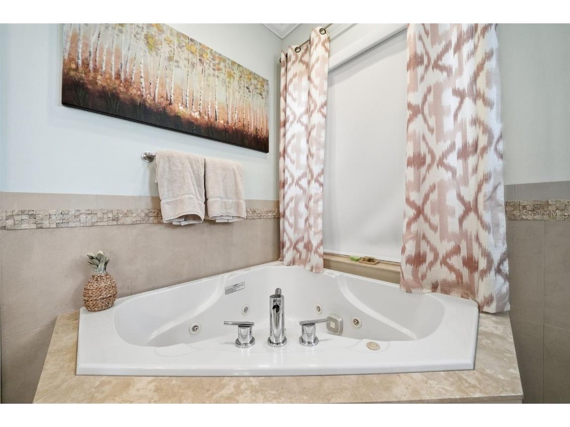 122 Waterberry Drive Tarpon Springs FL 34688 - LAKE TARPON TB8439934 image46