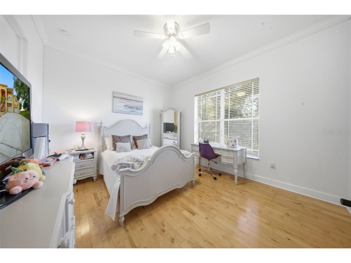 122 Waterberry Drive Tarpon Springs FL 34688 - LAKE TARPON TB8439934 image48