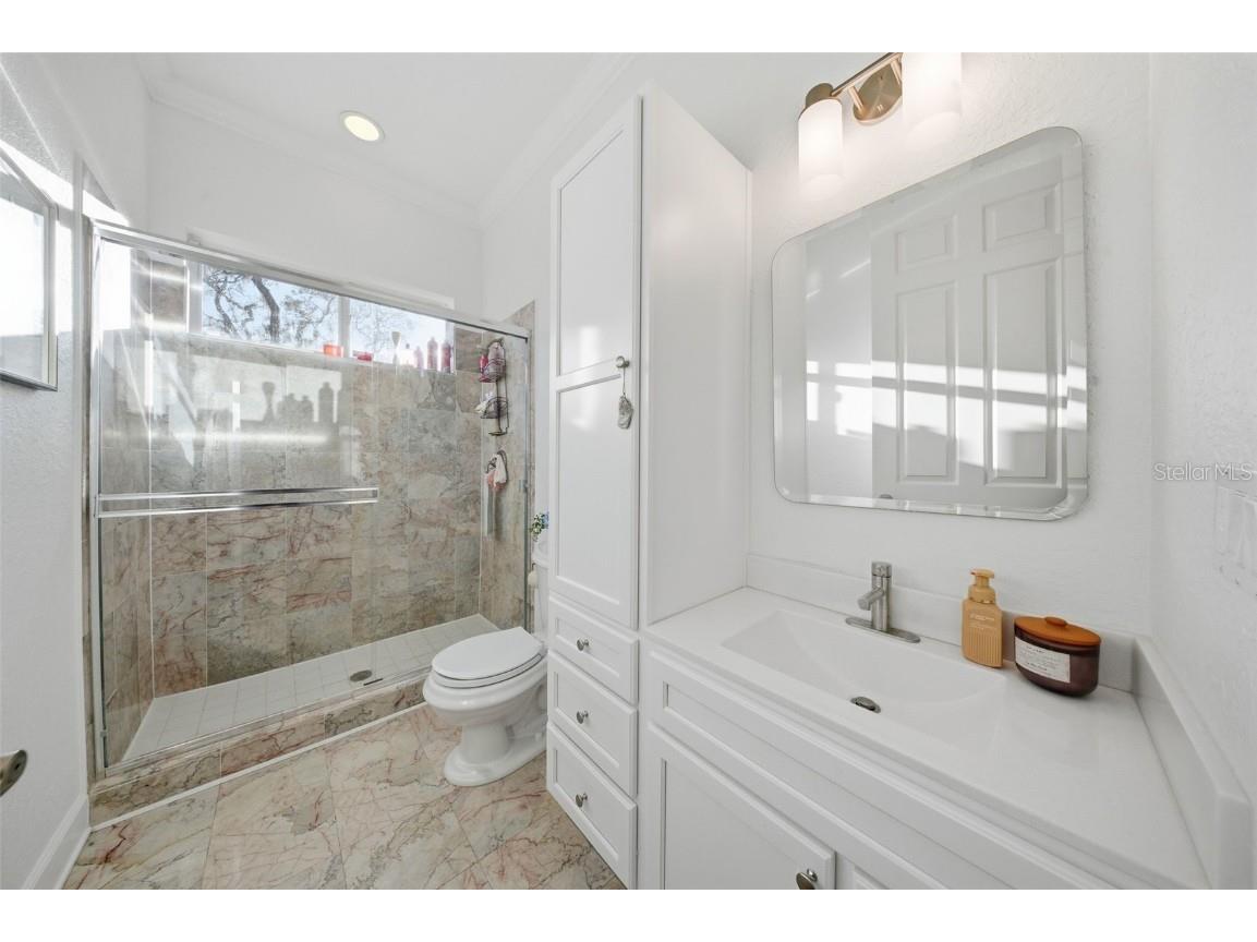 122 Waterberry Drive Tarpon Springs FL 34688 - LAKE TARPON TB8439934 image52