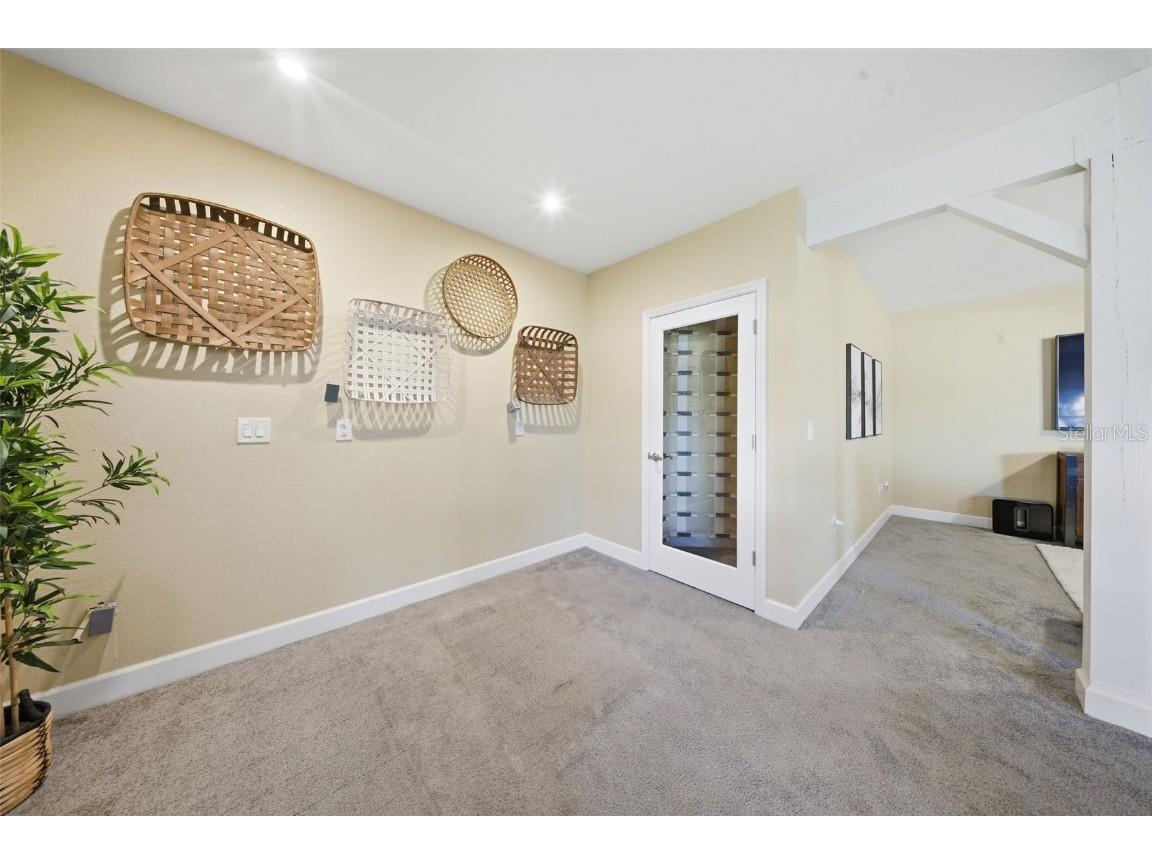 122 Waterberry Drive Tarpon Springs FL 34688 - LAKE TARPON TB8439934 image65