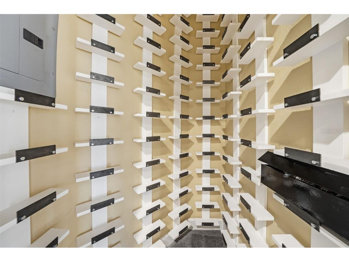 122 Waterberry Drive Tarpon Springs FL 34688 - LAKE TARPON TB8439934 image67