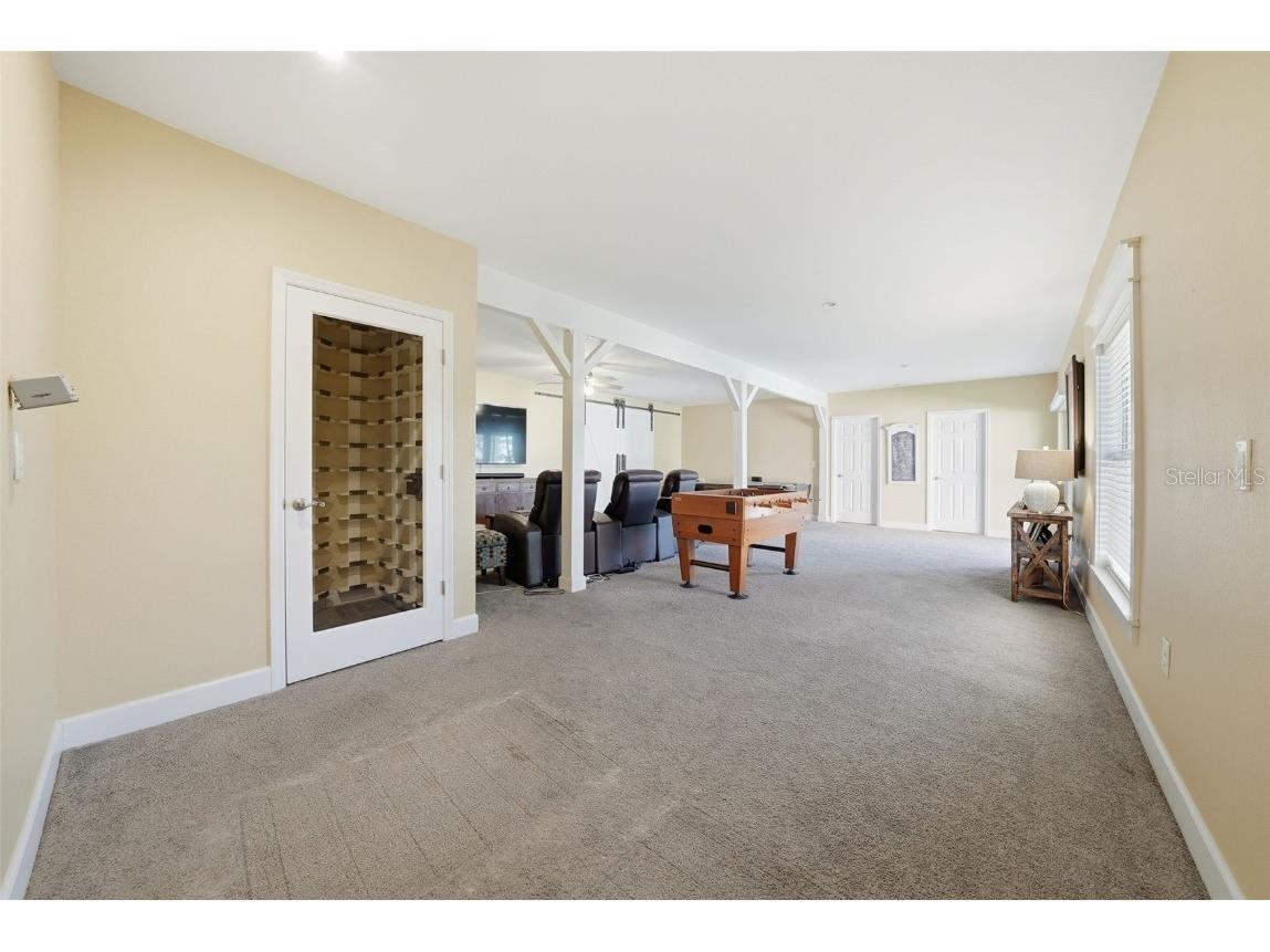 122 Waterberry Drive Tarpon Springs FL 34688 - LAKE TARPON TB8439934 image68