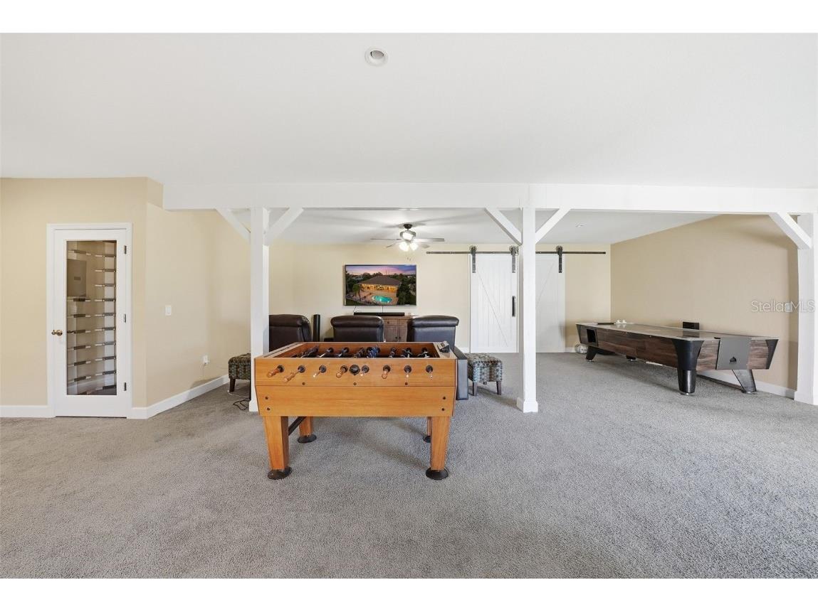 122 Waterberry Drive Tarpon Springs FL 34688 - LAKE TARPON TB8439934 image69