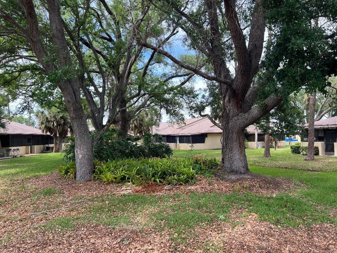1220 13th Circle SE Largo FL 33771 TB8494982 image23