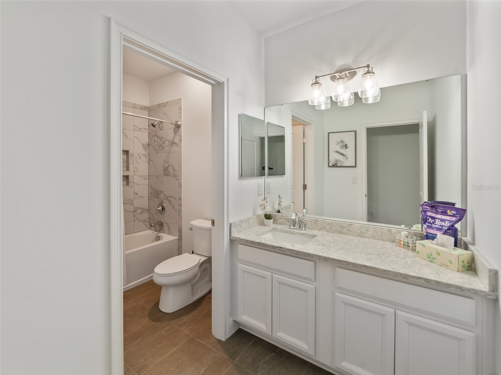 1220 Florablu Drive Seffner FL 33584 TB8516785 image34